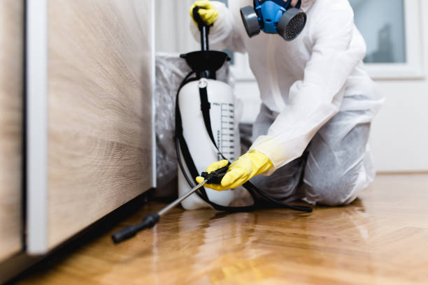 Wildlife Control Services in Concord, NC