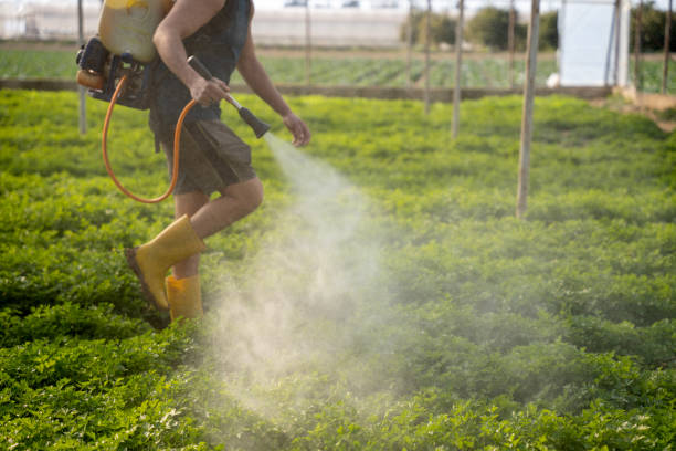 Best Pest Prevention Services  in Coord, NC