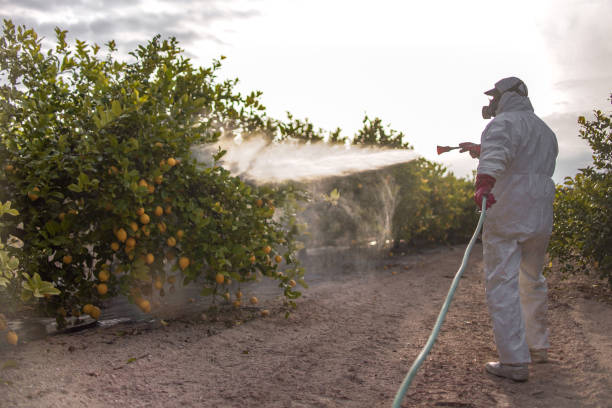 Best Commercial Pest Control Services  in Coord, NC